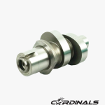 Racing Cam High Lift