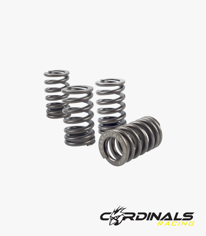 racing-valve-spring-oval-shape-os1-y15zr