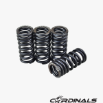 Racing Valve Spring (S1) LC135