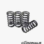Racing Valve Spring (S2) LC135