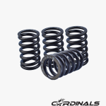 Racing Valve Spring (S2) RS150
