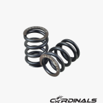 Racing Valve Spring DREAM / W125
