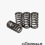 Racing Valve Spring (S4) Y15ZR