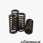 Racing Valve Spring (S2)