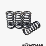 Racing Valve Spring (S2) Y15 / FZ150
