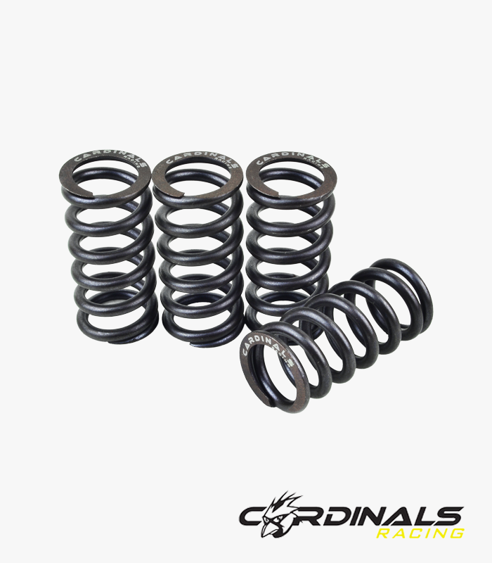 Racing Valve Spring (S2) Y15 / FZ150 Cardinals Racing