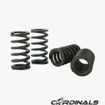 RACING VALVE SPRING (OS3) OVAL SHAPE