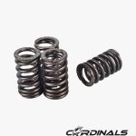 RACING VALVE SPRING (OS2) - OVAL SHAPE