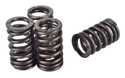 RACING VALVE SPRING (OS4) OVAL SHAPE
