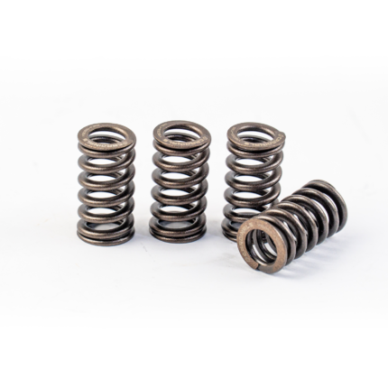 Racing Valve Spring (OS3) - Y15ZR